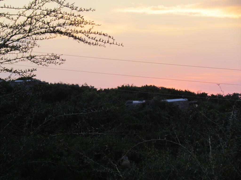 Addo Dung Beetle Guest Farm Exterior foto
