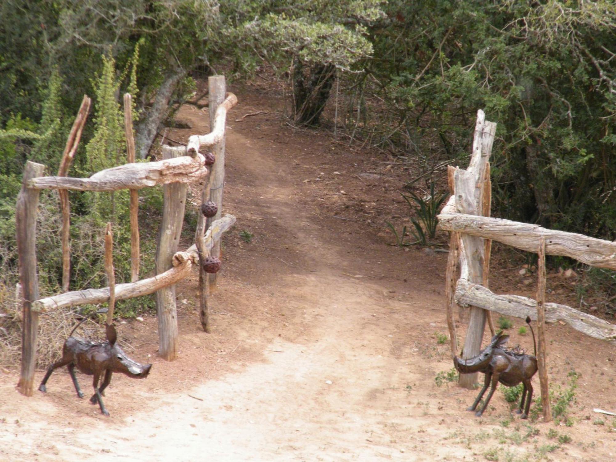 Addo Dung Beetle Guest Farm Exterior foto