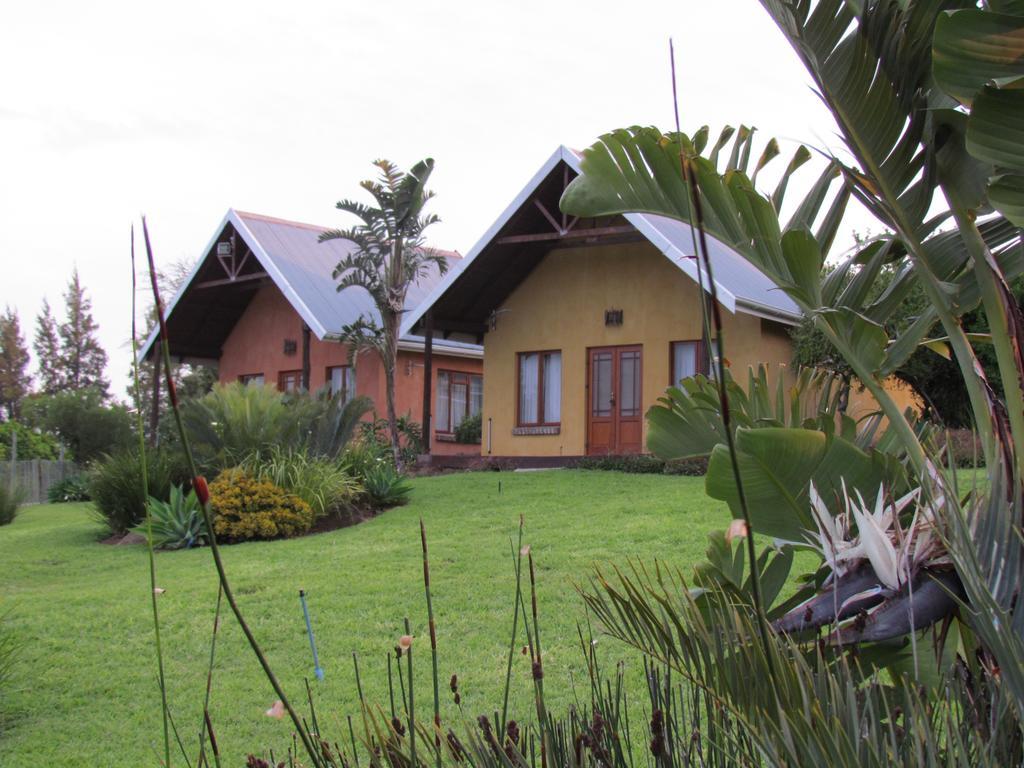 Addo Dung Beetle Guest Farm Quarto foto