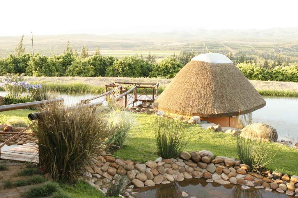 Addo Dung Beetle Guest Farm Exterior foto