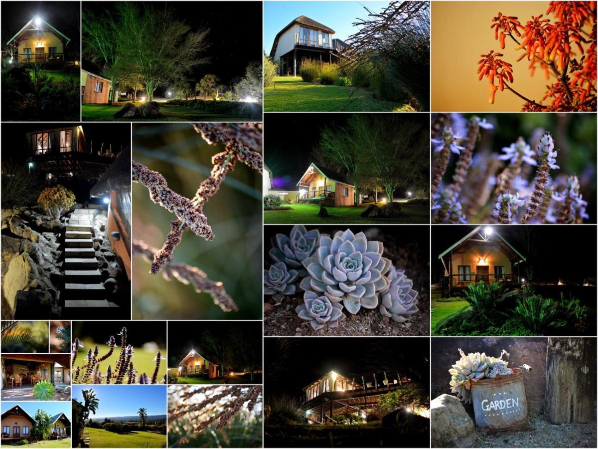 Addo Dung Beetle Guest Farm Exterior foto