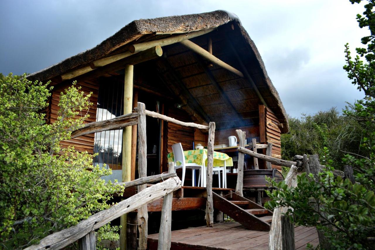 Addo Dung Beetle Guest Farm Exterior foto