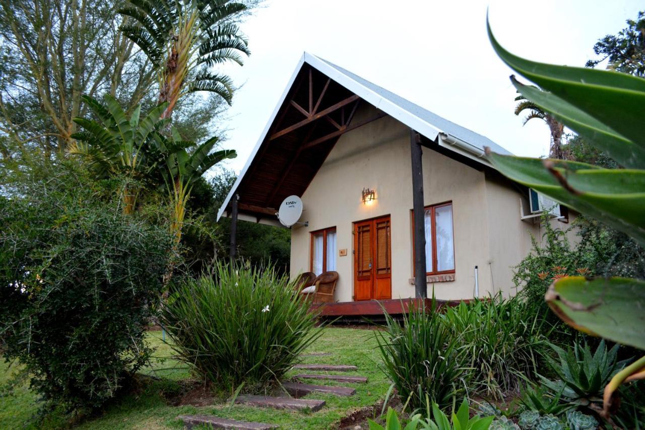 Addo Dung Beetle Guest Farm Exterior foto