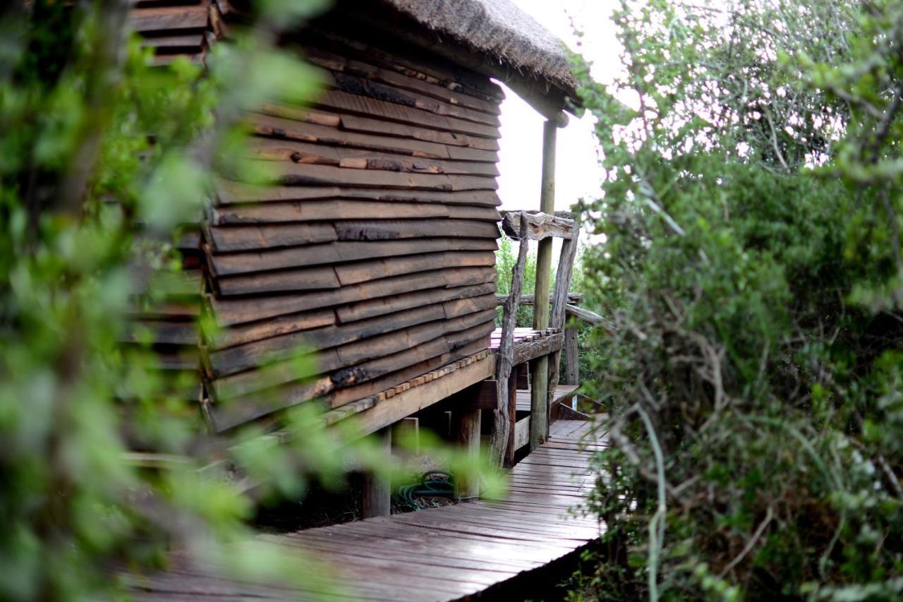 Addo Dung Beetle Guest Farm Exterior foto